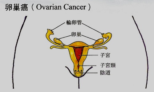 澳门永利官网进入